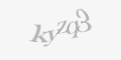 Защитный код